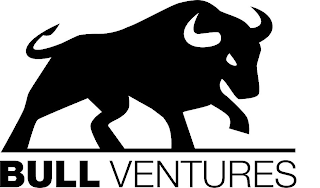 BULL VENTURES