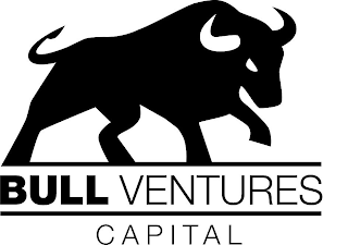 BULL VENTURES CAPITAL