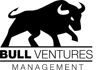 BULL VENTURES MANAGEMENT