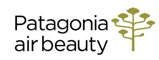 PATAGONIA AIR BEAUTY