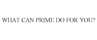 WHAT CAN PRIME DO FOR YOU?