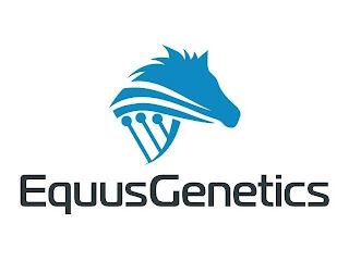 EQUUSGENETICS