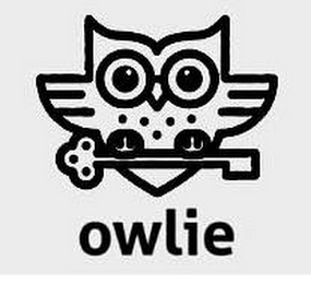 OWLIE