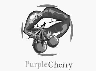 PURPLE CHERRY