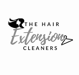 THE HAIR EXTENSION CLEANERS