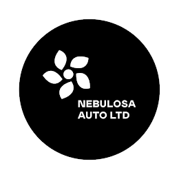 NEBULOSA AUTO LTD