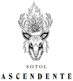 SOTOL ASCENDENTE