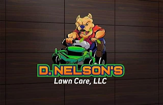 D. NELSON'S LAWN CARE, LLC