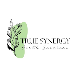 TRUE SYNERGY BIRTH SERVICES