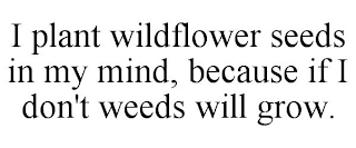 I PLANT WILDFLOWER SEEDS IN MY MIND, BECAUSE IF I DON'T WEEDS WILL GROW.