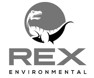 REX ENVIRONMENTAL