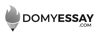 DOMYESSAY .COM