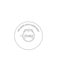 WELLBORE DEPTH INSTRUMENT GAIA