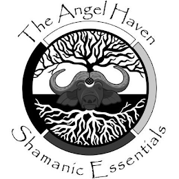 THE ANGEL HAVEN SHAMANIC ESSENTIALS