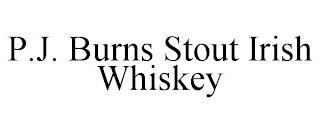 P.J. BURNS STOUT IRISH WHISKEY