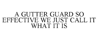 A GUTTER GUARD SO EFFECTIVE WE JUST CALL IT WHAT IT IS