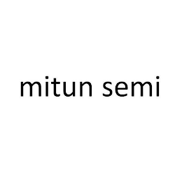 MITUN SEMI