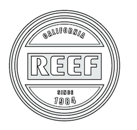 REEF CALIFORNIA SINCE 1984