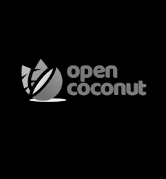 OPEN COCONUT