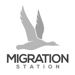 MIGRATION STATION