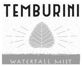 TEMBURINI WATERFALL MIST