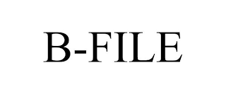 B-FILE