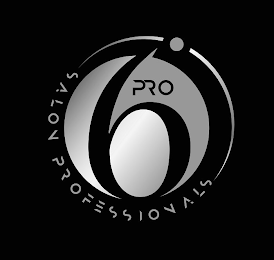 6° PRO SALON PROFESSIONALS