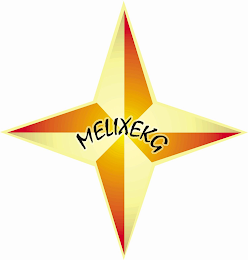 MELIXEKG