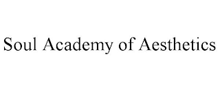 SOUL ACADEMY OF AESTHETICS