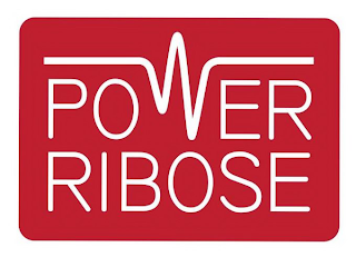 POWER RIBOSE