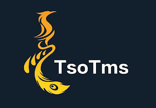 TSOTMS