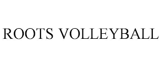 ROOTS VOLLEYBALL