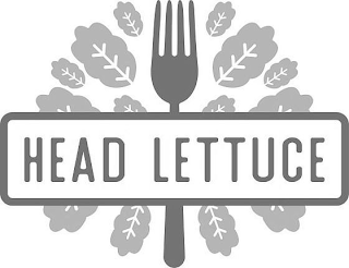 HEAD LETTUCE