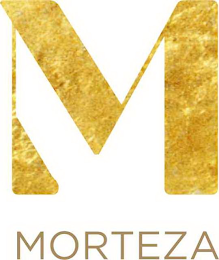 M MORTEZA