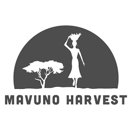 MAVUNO HARVEST