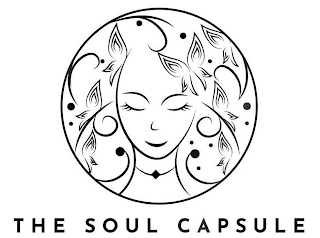 THE SOUL CAPSULE