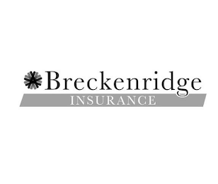 BRECKENRIDGE INSURANCE