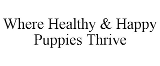 WHERE HEALTHY & HAPPY PUPPIES THRIVE