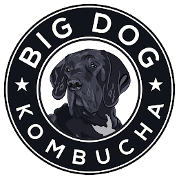 BIG DOG KOMBUCHA