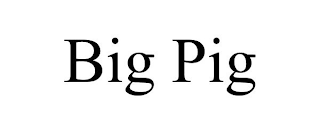 BIG PIG