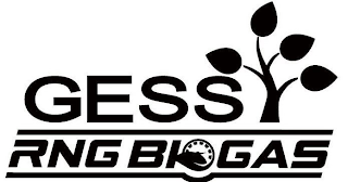 GESS RNG BIOGAS