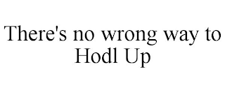 THERE'S NO WRONG WAY TO HODL UP