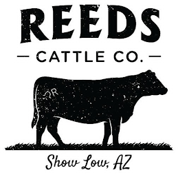 REEDS CATTLE CO. SHOW LOW, AZ R