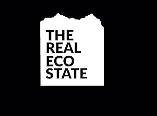 THE REAL ECO STATE