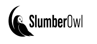 SLUMBEROWL