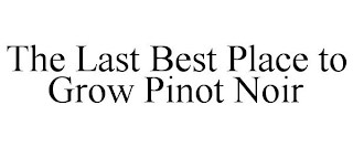 THE LAST BEST PLACE TO GROW PINOT NOIR