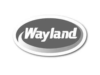 WAYLAND