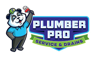 P PLUMBER PRO SERVICE & DRAINS