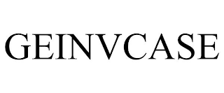 GEINVCASE