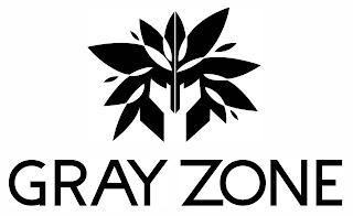 GRAY ZONE